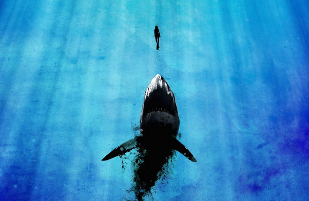 Diver and Shark Wallpaper